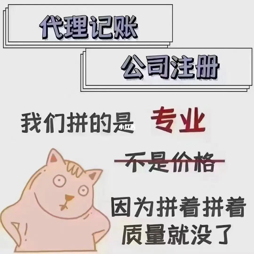 代理记账与代理记帐 概念解析与现代应用